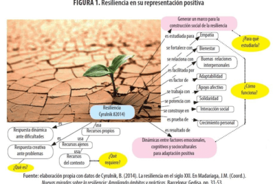 literatura e influencia en la percepcion de la resiliencia
