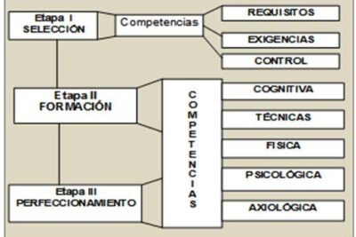 los jueces en campeonatos funciones y responsabilidades clave