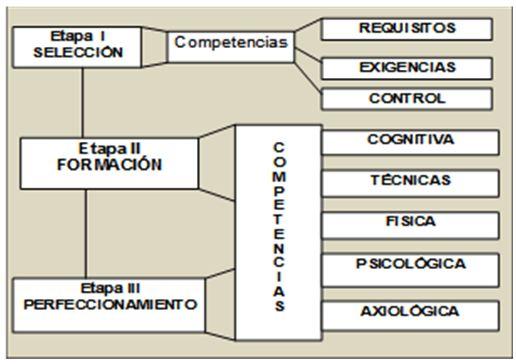los jueces en campeonatos funciones y responsabilidades clave