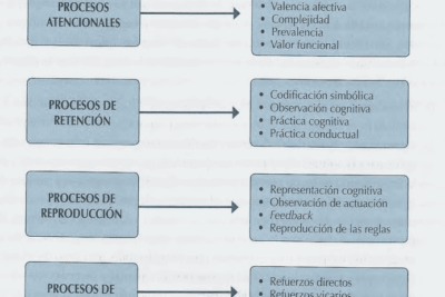 medir la efectividad del refuerzo en el aprendizaje y desarrollo