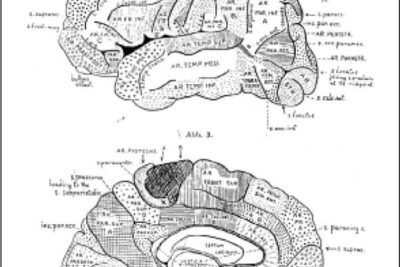 memoria e identidad separadas o conectadas realmente