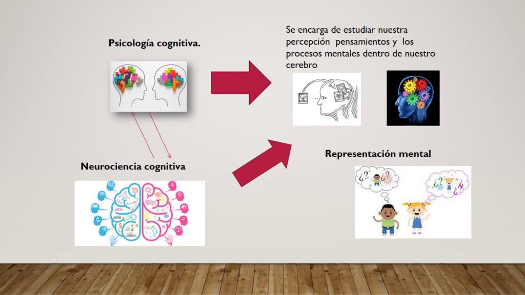 metodos para estudiar el comportamiento en neurociencia