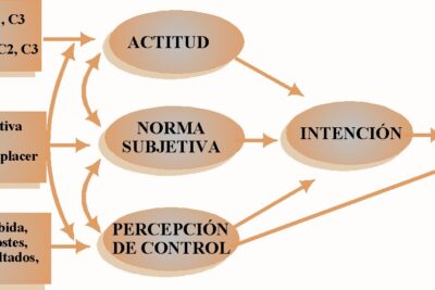 metodos y enfoques actuales para predecir la conducta humana