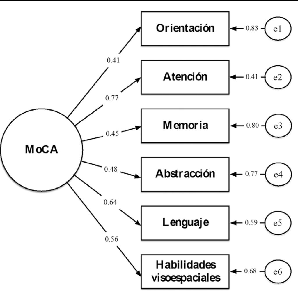 metodos y herramientas para medir la cognicion en adultos mayores