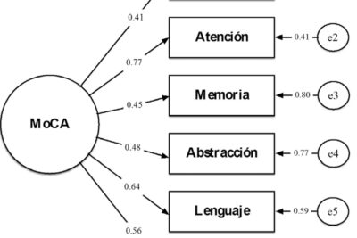 metodos y herramientas para medir la cognicion en adultos mayores