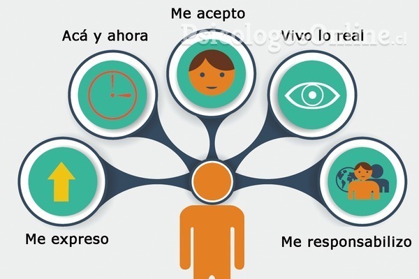 modelos de personalidad y su aplicabilidad en la vida diaria