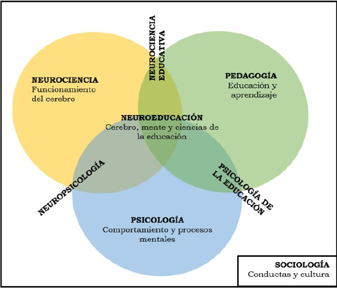 neurociencia de la adaptacion y su efecto en el comportamiento