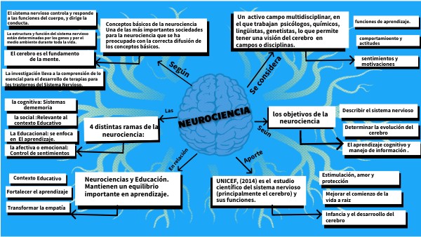 Metodo De Estudio De La Neurociencia saludvital.cl