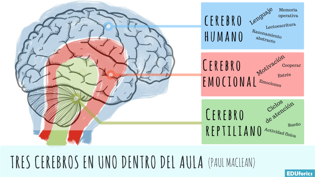 Neurociencia del arte: comprensión y emociones en humanos 1 neurociencia del arte comprension y emociones en humanos