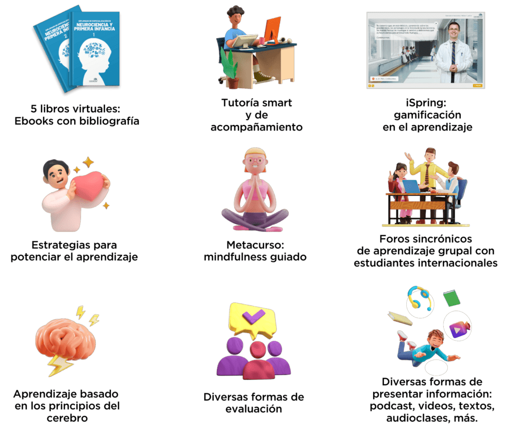 neurociencia del desarrollo su importancia en la infancia