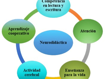 neurociencia del refuerzo su impacto en aprendizaje y conducta