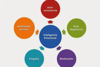 neurociencia e inteligencia emocional clave en el comportamiento