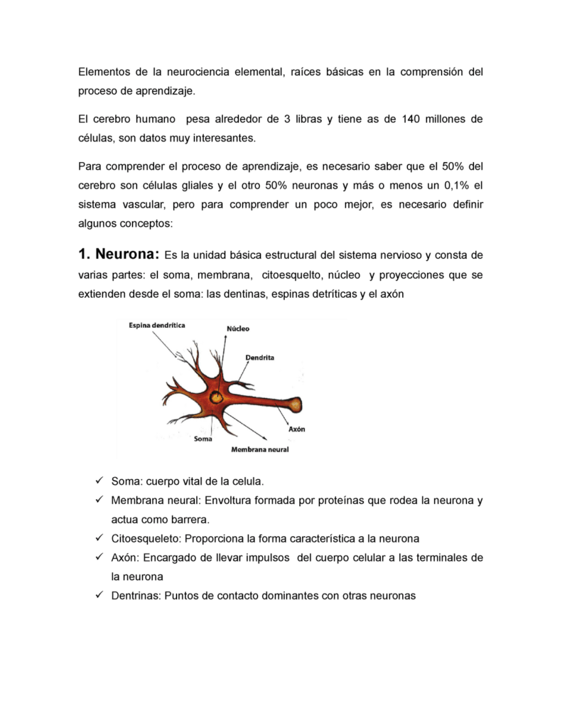 neurociencia y desarrollo humano un analisis esencial
