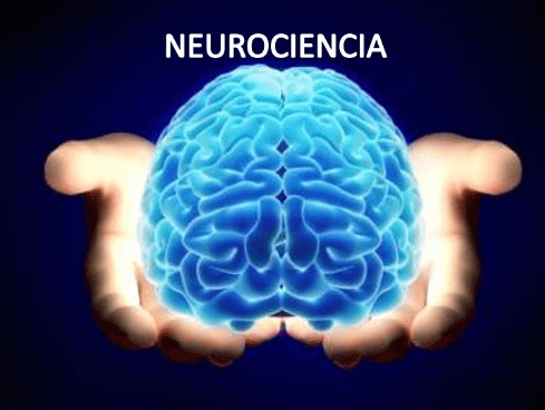 neurociencia y su impacto en el aprendizaje humano profundo