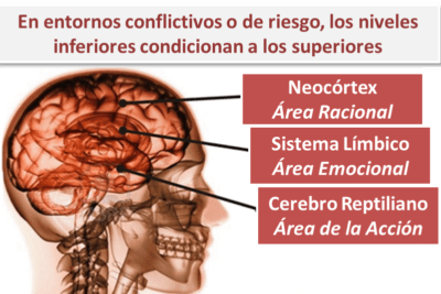 neurociencia y su impacto en el cambio de comportamiento humano