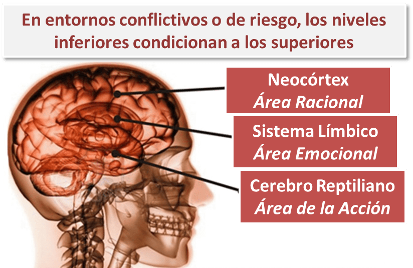 Neurociencia y su impacto en el cambio de comportamiento humano 1 neurociencia y su impacto en el cambio de comportamiento humano