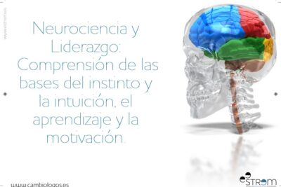 neurociencia y su impacto en la comprension del liderazgo
