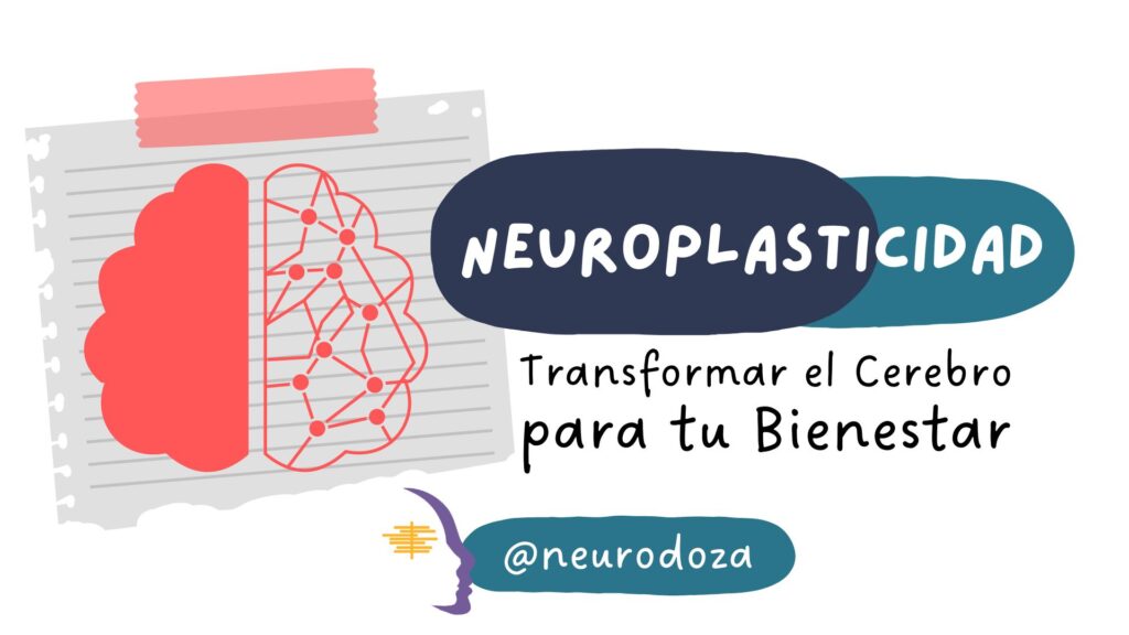 neuroplasticidad y su impacto en el bienestar emocional