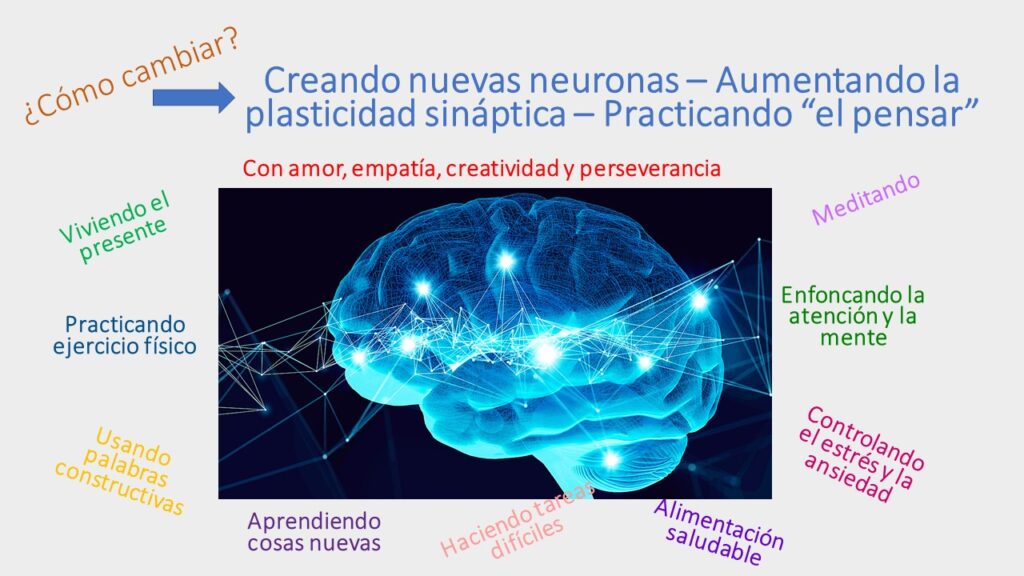 neuroplasticidad y su influencia en la recuperacion mental