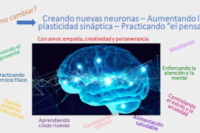 neuroplasticidad y su influencia en la recuperacion mental