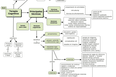 percepcion en la terapia cognitiva comprension y aplicacion