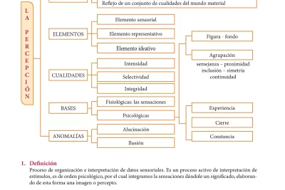 percepcion en la terapia de grupo significado y contexto