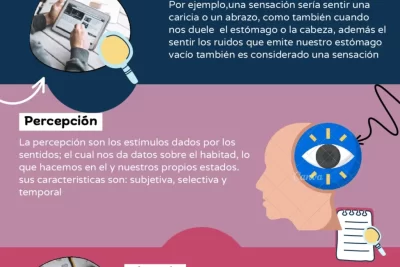 percepcion en psicologia y su impacto en nuestra vida diaria