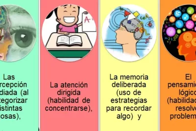 percepcion y psicologia evolutiva en el desarrollo humano