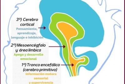 percepcion y trauma impacto emocional y cognitivo explicado