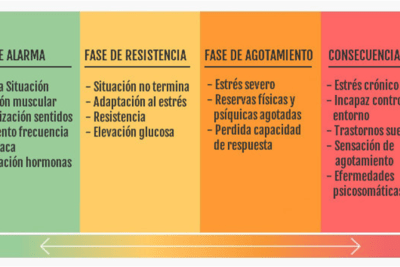 personalidad y su impacto en la gestion del estres cotidiano