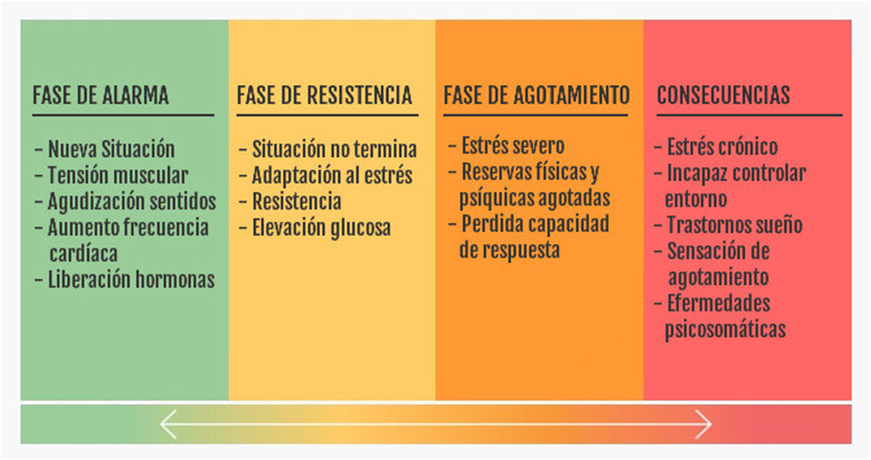 Personalidad y su impacto en la gestión del estrés cotidiano 1 personalidad y su impacto en la gestion del estres cotidiano