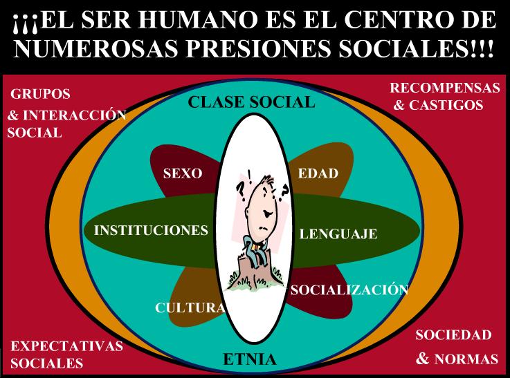 perspectivas sociologicas sobre la personalidad