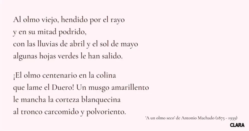 poemas de exploracion emocional significado y caracteristicas
