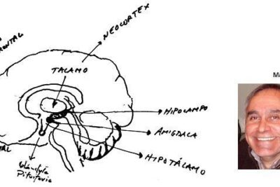 proceso de produccion de emociones humanas un descubrimiento