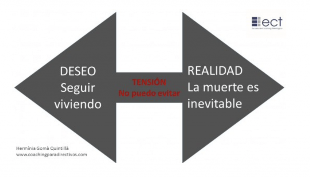 psicologia del conflicto entendiendo raices y soluciones