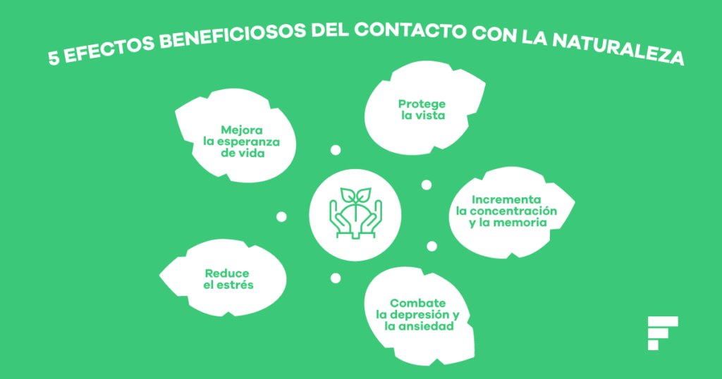 Qué beneficios aporta la naturaleza a nuestra psicología 1 que beneficios aporta la naturaleza a nuestra psicologia