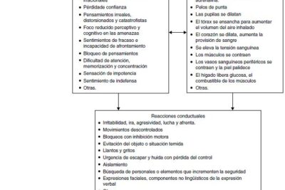 que efecto tiene el miedo en la conducta colectiva