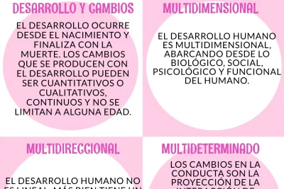 que es el ciclo de la vida y su impacto emocional