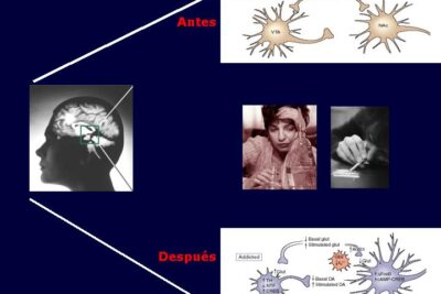 que es el comportamiento adictivo desde la neurociencia