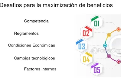 que es el enfoque de maximizacion vs satisfactoria