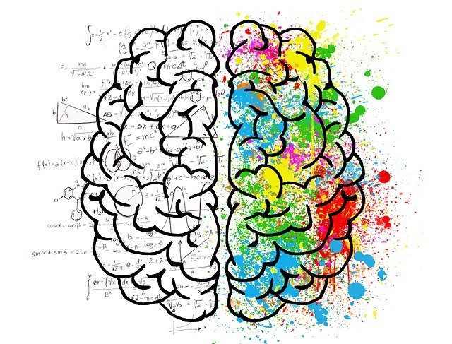 que es la cognicion en el contexto del desarrollo humano