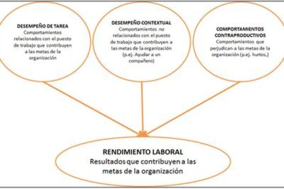 que es la conducta de desempeno y como influye en el trabajo