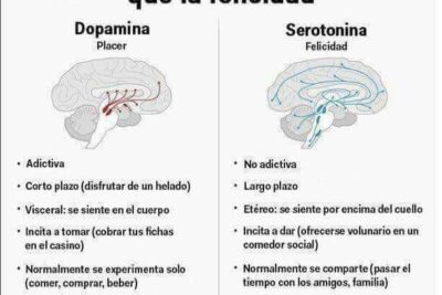 que es la conducta en el contexto de la neuronutricion