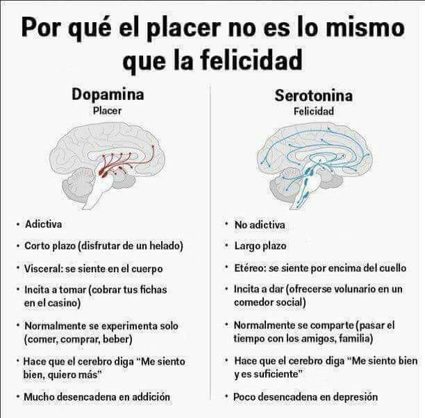 Qué es la conducta en el contexto de la neuronutrición 1 que es la conducta en el contexto de la neuronutricion