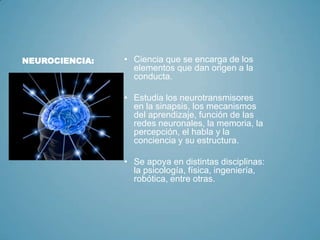 Qué es la neurociencia de la conducta y su aplicación 1 que es la neurociencia de la conducta y su aplicacion