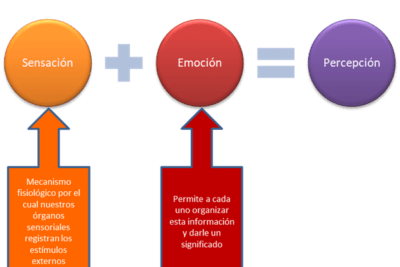 que es la percepcion en el contexto de la neurociencia