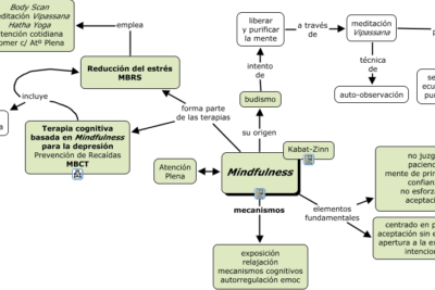 que es la percepcion en el contexto del mindfulness