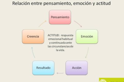 que es la relacion entre emociones y comportamiento