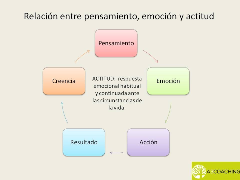 que es la relacion entre emociones y comportamiento