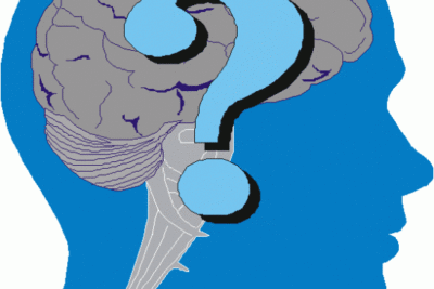 que estudios revelan sobre las decisiones en el cerebro